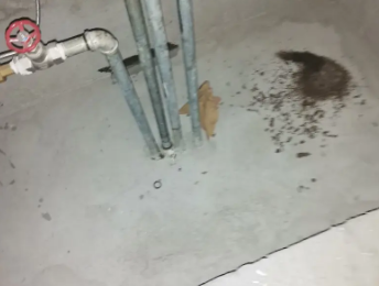 铁力卫生间测漏水价格明细