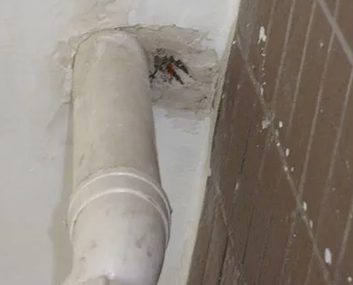 铁力漏水检测哪家好